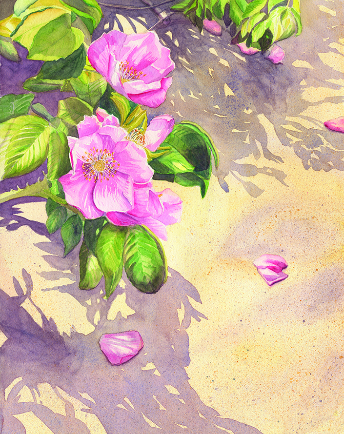 Thumbnail Placeholder